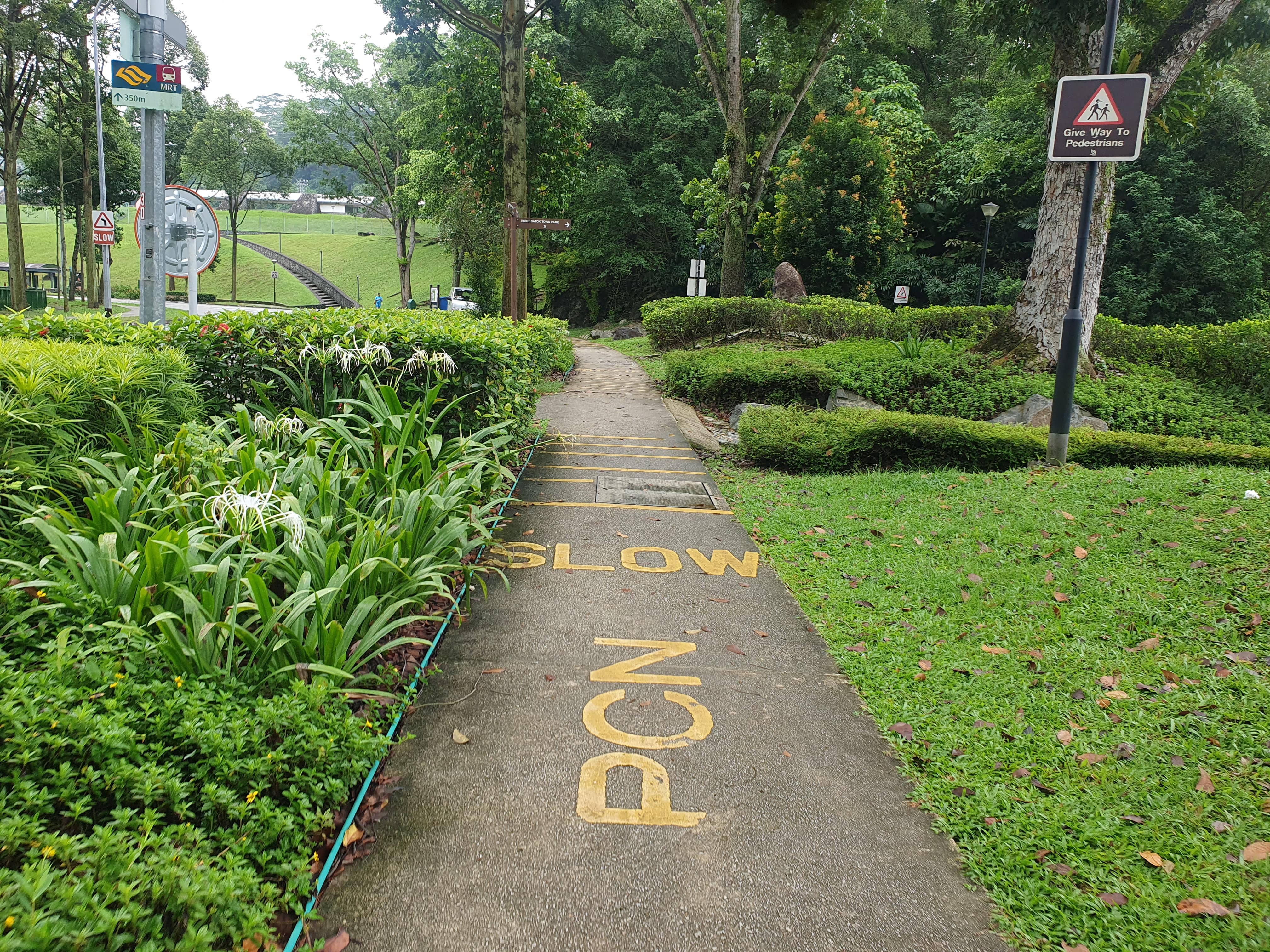 Paved park path with yellow SLOW and PCN markings, bordered by lush plants and a pedestrian warning sign.
